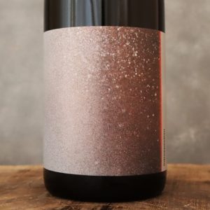 introspection 赤 2024 北澤陽平