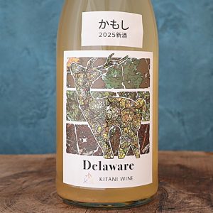 デラウェア かもし 2025 木谷ワイン