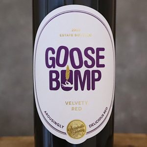 グース・バンプ フェウド・アランチョ 2023